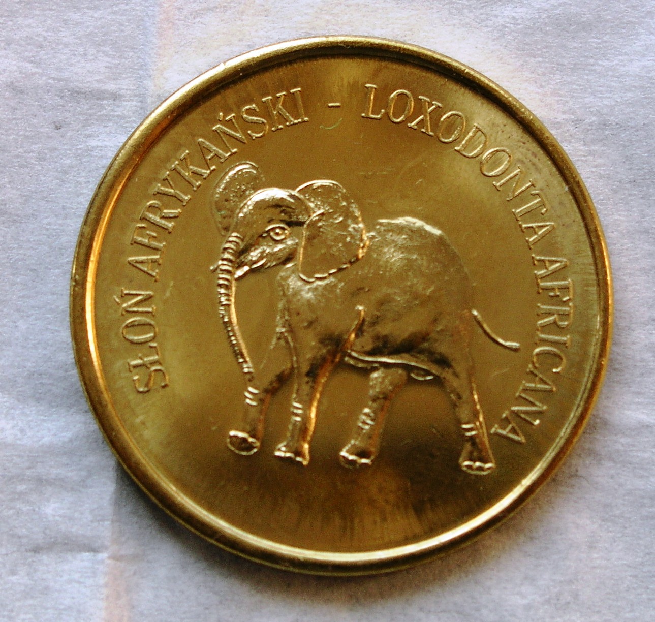 warszawskie zoo