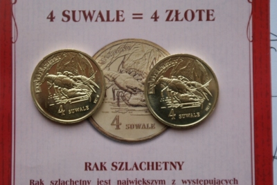 4 SUWALE 2011