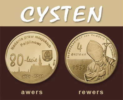 cysten wizualizacja