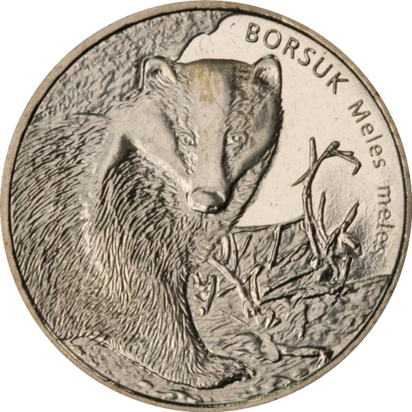 Borsuk 2zł